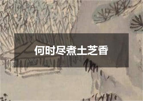 何时尽煮土芝香