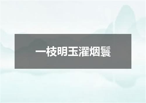 一枝明玉濯烟鬟