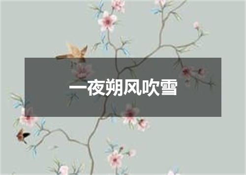 一夜朔风吹雪
