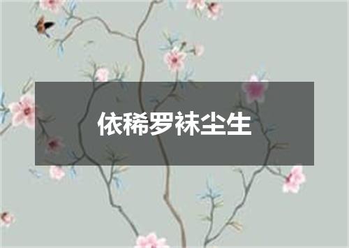 依稀罗袜尘生