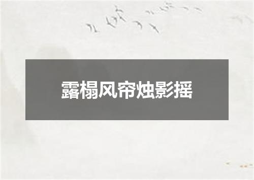 露榻风帘烛影摇