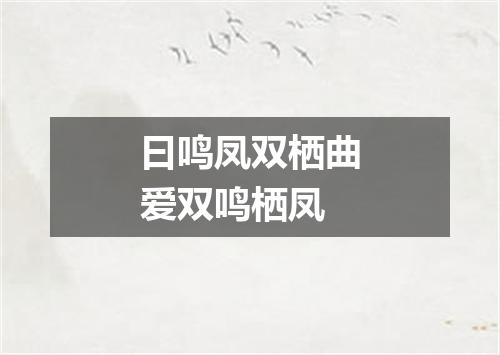 曰鸣凤双栖曲爱双鸣栖凤