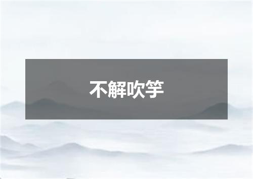 不解吹竽