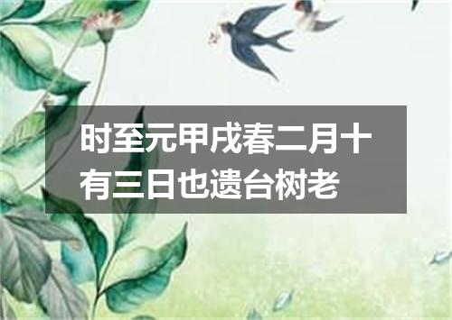 时至元甲戌春二月十有三日也遗台树老