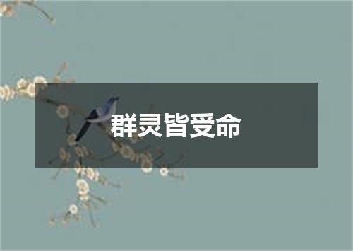 群灵皆受命