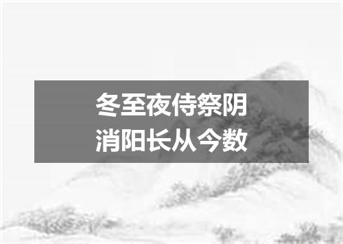冬至夜侍祭阴消阳长从今数
