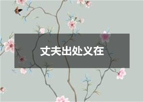 丈夫出处义在