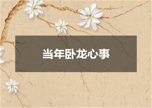 当年卧龙心事