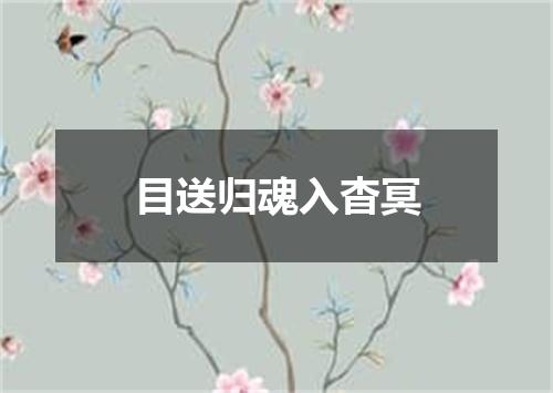 目送归魂入杳冥