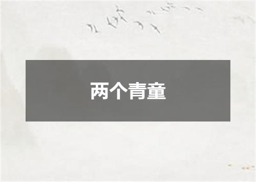 两个青童