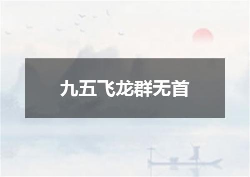九五飞龙群无首