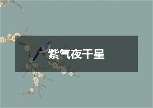紫气夜干星