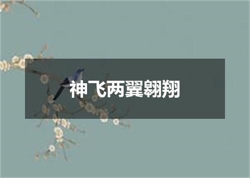 神飞两翼翱翔