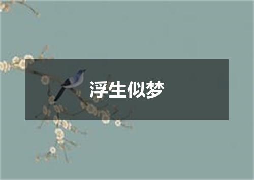 浮生似梦