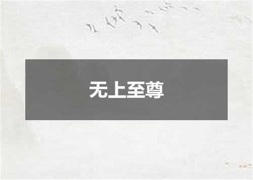 无上至尊