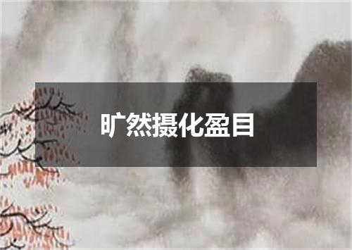 旷然摄化盈目
