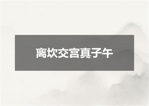 离坎交宫真子午