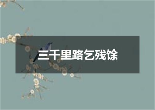 三千里路乞残馀