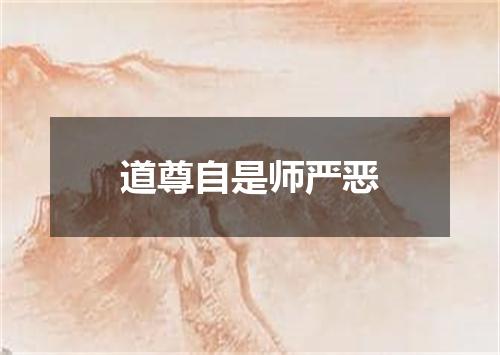 道尊自是师严恶