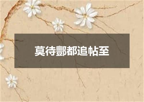 莫待酆都追帖至