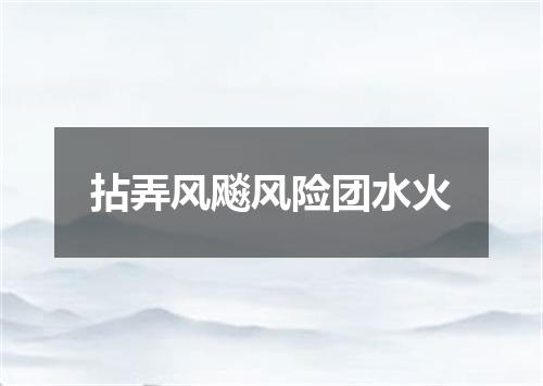 拈弄风飚风险团水火
