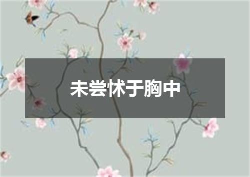 未尝怵于胸中