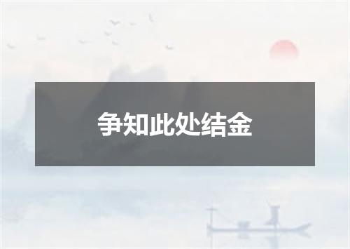争知此处结金