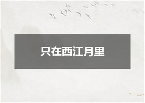 只在西江月里
