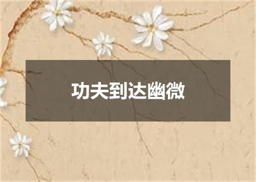 功夫到达幽微