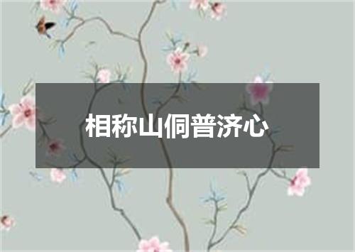 相称山侗普济心