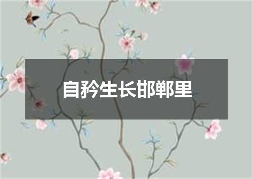自矜生长邯郸里