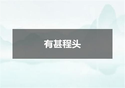 有甚程头