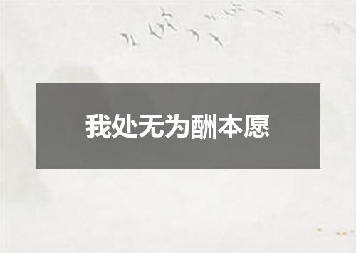 我处无为酬本愿