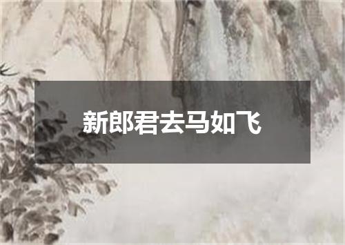 新郎君去马如飞