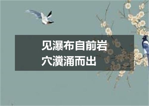 见瀑布自前岩穴瀵涌而出