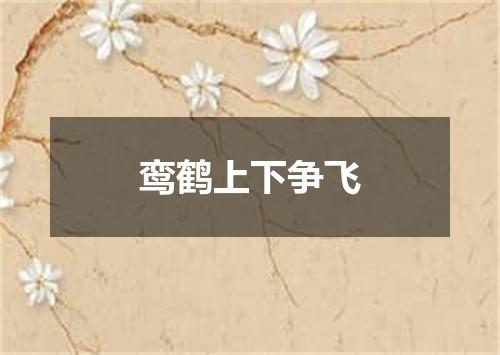 鸾鹤上下争飞