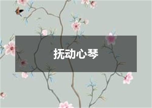 抚动心琴