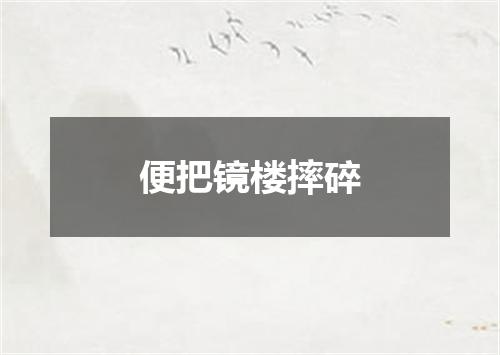 便把镜楼摔碎
