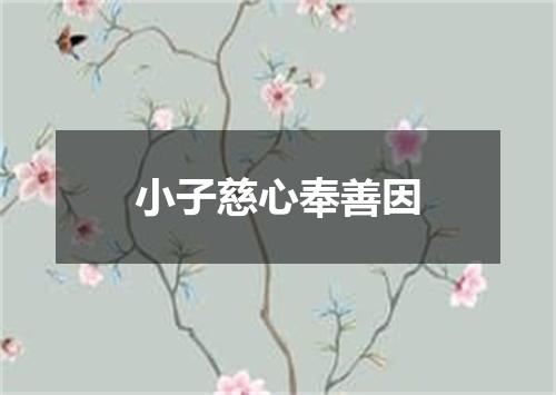 小子慈心奉善因