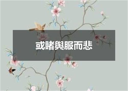 或睹舆服而悲