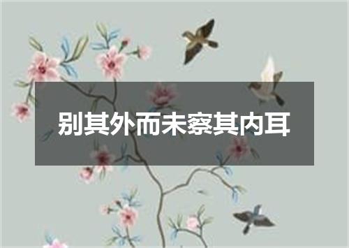 别其外而未察其内耳