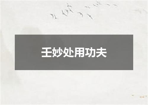 壬妙处用功夫