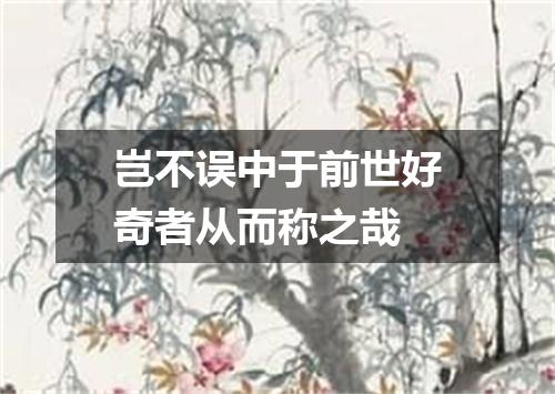 岂不误中于前世好奇者从而称之哉