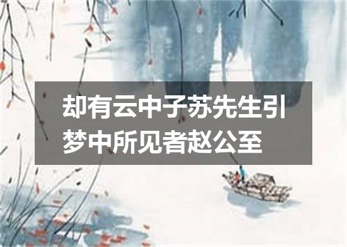 却有云中子苏先生引梦中所见者赵公至