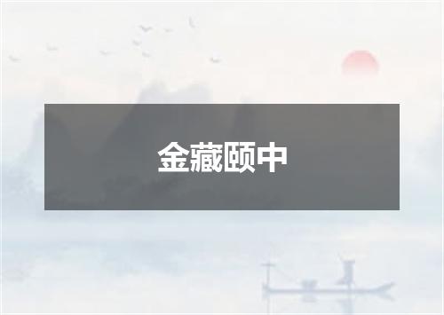 金藏颐中