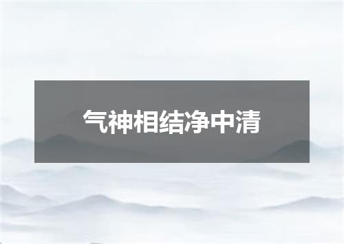 气神相结净中清