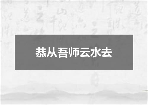 恭从吾师云水去