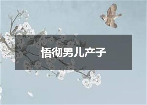 悟彻男儿产子