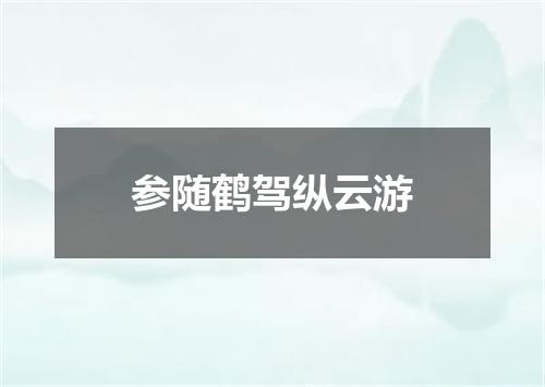 参随鹤驾纵云游