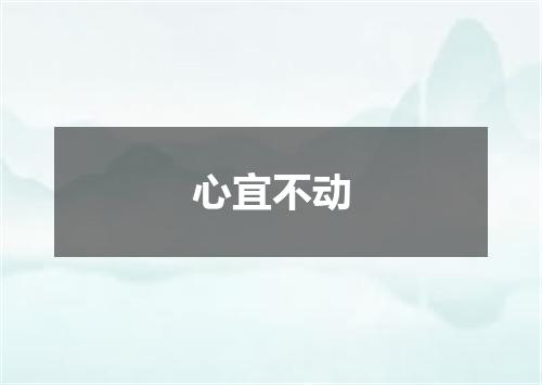 心宜不动